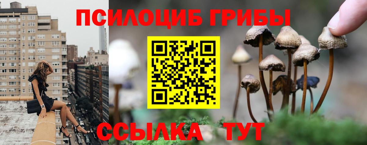 Псилоцибиновые грибы прущие грибы Белая Калитва